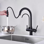 3 Ways Kitchen faucet with Pull-Out Spray