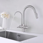 3 Ways Kitchen faucet with Pull-Out Spray